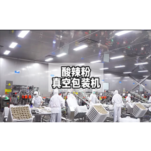 酸辣粉给袋式真空包装机