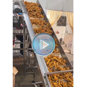 即食鸡腿真空包装机