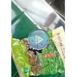 梅菜真空包装机