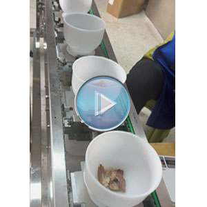 牛羊肉汤包全自动定量灌装给袋式包装机方案 | 人工称重搭配碗式提升机对接给袋式包装机